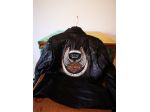 due giacche harley davidson e due caschi