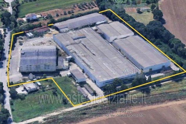 IMMOBILI-IMMOBILE INDUSTRIALE-Via dei Platani, Strada Provinciale n. 30, Cepagatti PE, Italia - Foto 3