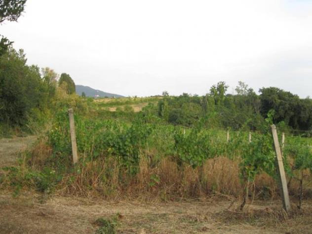 Immobile in asta di 152 m² in vendita a Grottaferrata - Foto 2