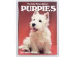 Kathryn Spink: Puppies.