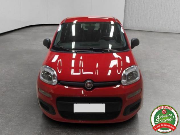 FIAT Panda 1.0 FireFly S&S Hybrid rif. 24189674 - Foto 2