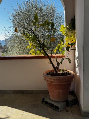 Villa in vendita a La Spezia - Foto 14