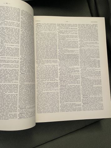 GRANDE DIZIONARIO DELLA LINGUA ITALIANA UTET (15 VOLUMI - NON COMPLETO) - Foto 5