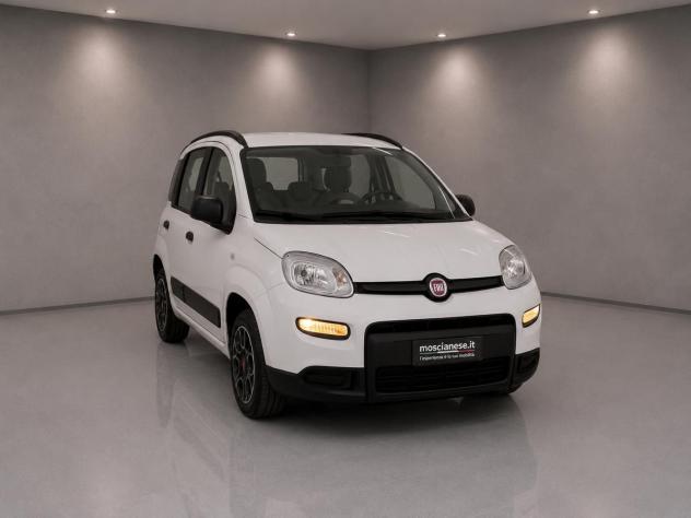 FIAT Panda 1.0 FireFly 70cv S&S Hybrid City Life
