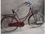 Bici classica da 24  con cestino