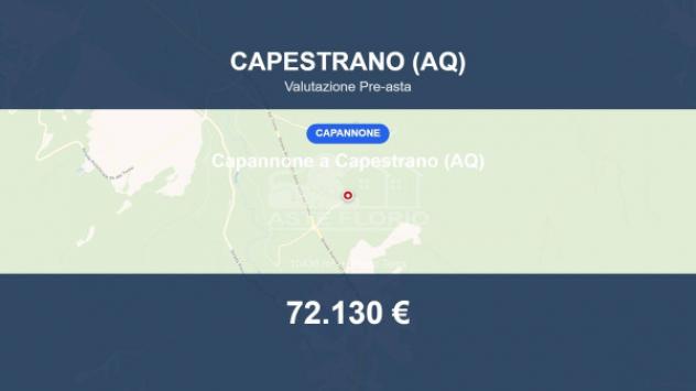 Immobile in asta di 10438 m² in vendita a Capestrano