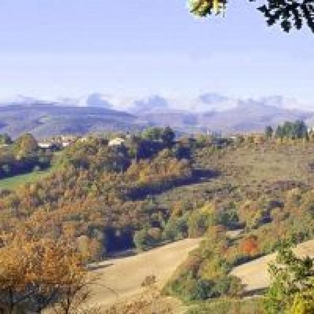 Arte Studio Ginestrelle - Foto 2