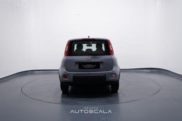 FIAT New Panda 1.0 FireFly S&S Hybrid rif. 23780418 - Foto 5