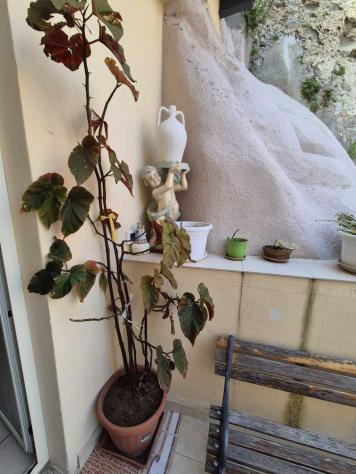 Appartamento in Via San Bartolomeo - Foto 20