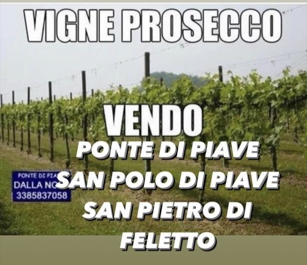 CANTINA CON 10 HA VIGNETI DI PROSECCO - Foto 3