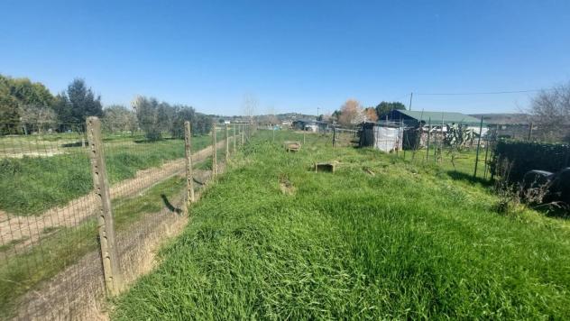terreno agricolo in vendita ad Empoli