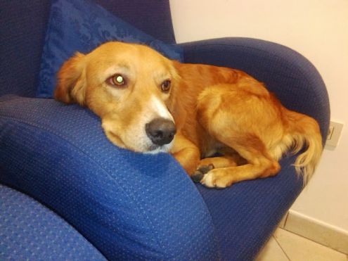 BILLY, uno splendore per strada! - Foto 2