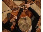 Violoncellista Lugano