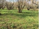 Terreno Agricolo