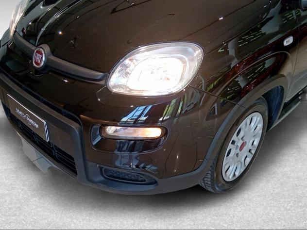 FIAT Panda III 2021 1.0 firefly hybrid s&s 70cv - Foto 2