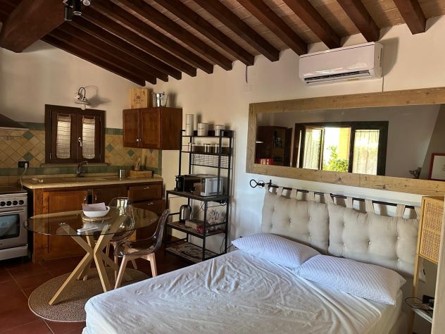 Al mare tra gli Ulivi Toscani - Foto 3