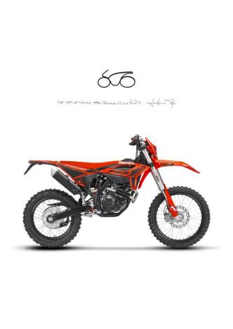 BETAMOTOR RR 125 ENDURO T rif. 20993406