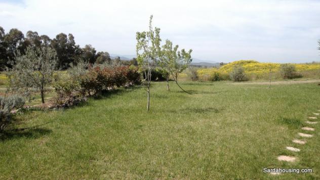 Donori, a 2 km dal paese, complesso agricolo-turistico di recente costruzione - Foto 17