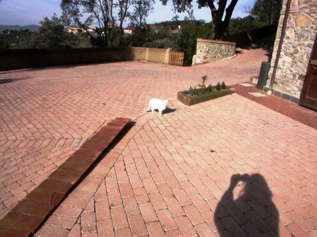 Villa in affitto a Santa Luce 65 mq Rif: 471111 - Foto 8