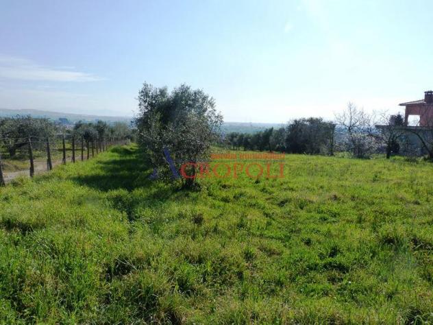 Terreno Edificabile - Rif. 2489 - Foto 2