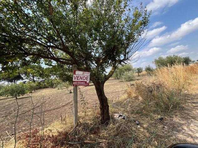 Terreno Agricolo - San Severo . Rif.: Cod. rif 3333384VRG - Foto 2