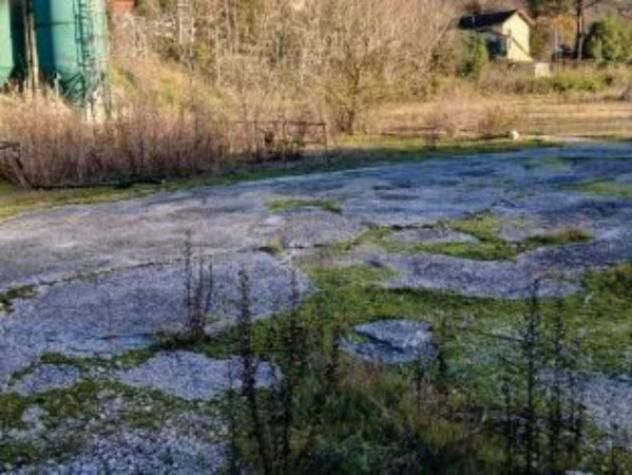 Immobile in asta di 35900 m² in vendita a Torrita Tiberina - Foto 4