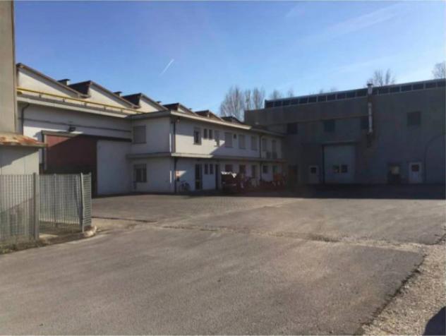 Immobile in asta di 2645 m² in vendita a Vigodarzere - Foto 10