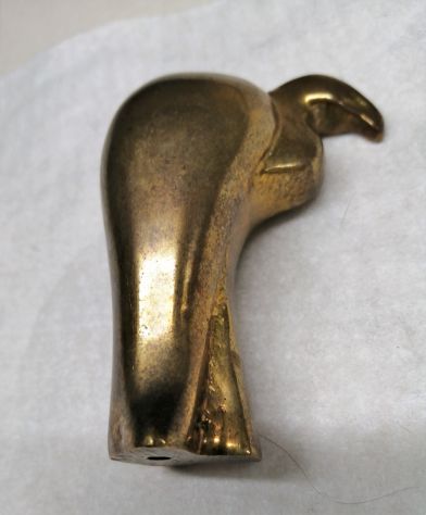 cervo e condor in bronzo - Foto 6