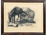 Giorgio Spinaci pittore quadro disegno carboncino Ciuchino