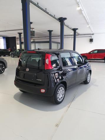 FIAT Pandina Pandina 1.0 firefly hybrid Icon s&s 65cv - Foto 6