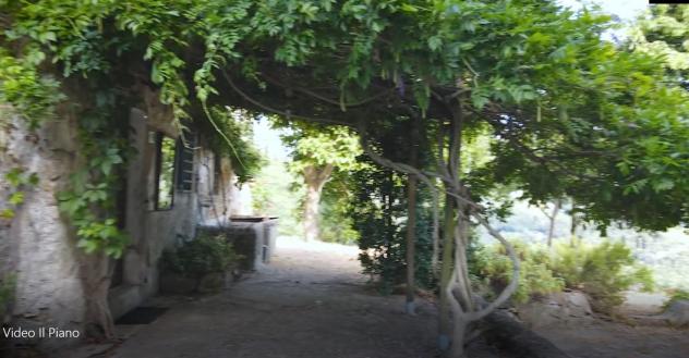 PRESSI PONTASSIEVE VENDESI CASALE CON TERRENO - Foto 13