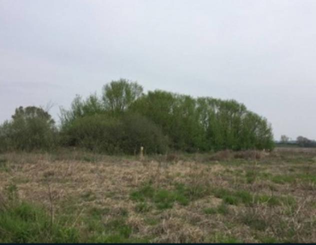 Immobile in asta di 217 m², box auto in vendita a Chiusi - Foto 6
