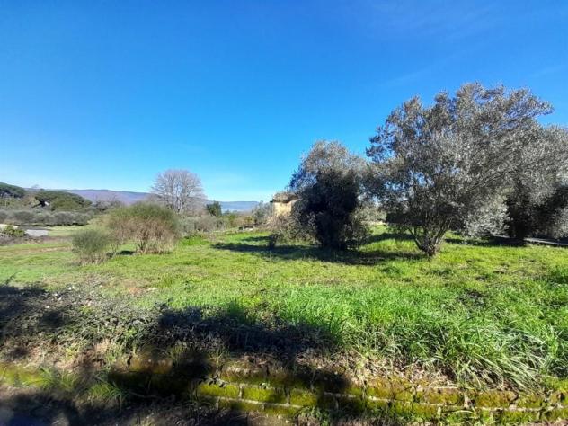 Terreno Edificabile - Rif. 2365 - Foto 11
