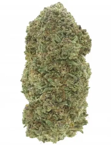 Lime Cookie