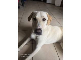 Blanco