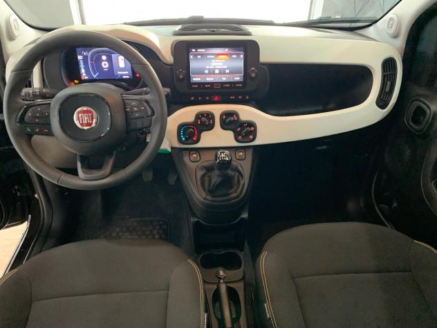 Fiat Panda 1.0 FireFly S&S Hybrid Pandina Cross 5 P.ti - Foto 7