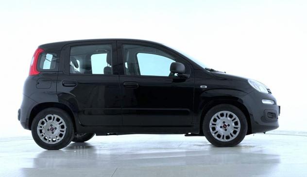 FIAT Panda Panda 1.0 FireFly S&S Hybrid - Foto 4