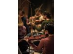 Musica per eventi e cerimonie raffinate a Modena