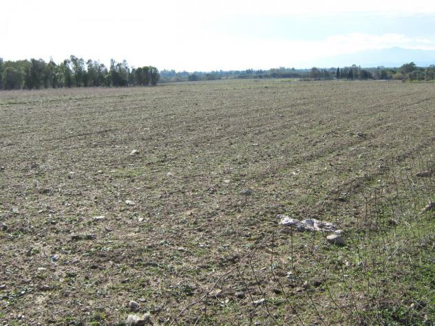Agricolo in vendita a San Sperate