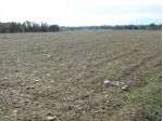 Agricolo in vendita a San Sperate