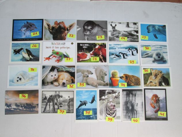 ANIMALI MISTI CARTOLINA 10 X15 collezione vintage SCEGLI la preferita - Foto 2