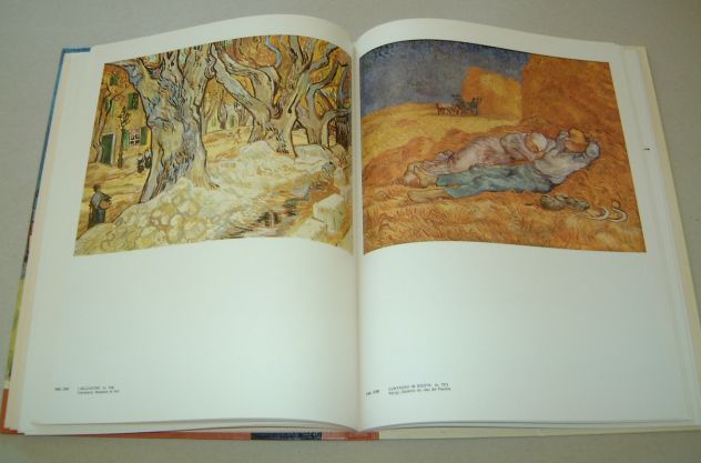 L'opera pittorica completa di Van Gogh - Foto 10