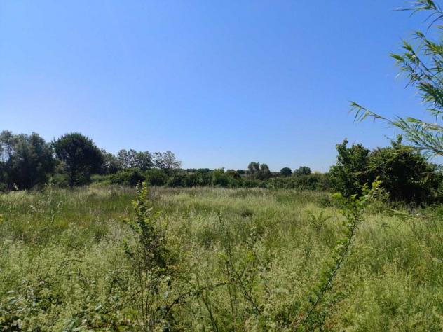 Seminativo in vendita a Cerveteri - Foto 3