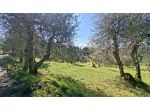 Terreno agricolo in vendita a Legoli - Peccioli 7440 mq  Rif: 1400957