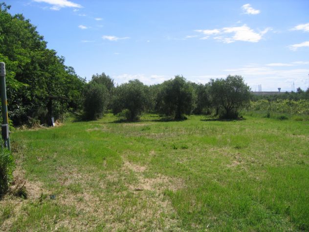 Terreno con anesso e pozzo - Foto 5