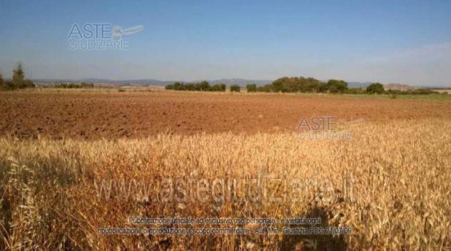 IMMOBILI-ALTRA CATEGORIA-Località Is Ollastu - Foto 2