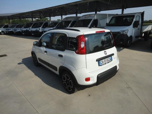 FIAT Panda 3ª serie Panda 1.0 FireFly S&S Hybrid City Life - Foto 3