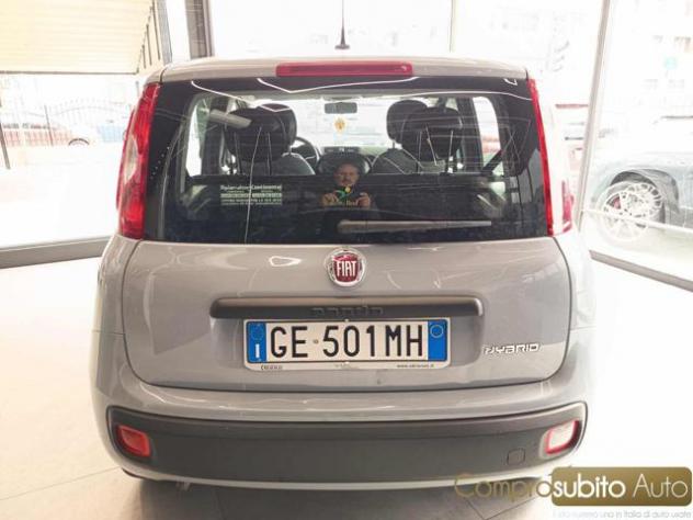 FIAT Panda 1.0 FireFly S&S Hybrid Easy rif. 23814634 - Foto 5