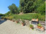 Colonica in vendita a Capraia e Limite 220 mq  Rif: 1226585
