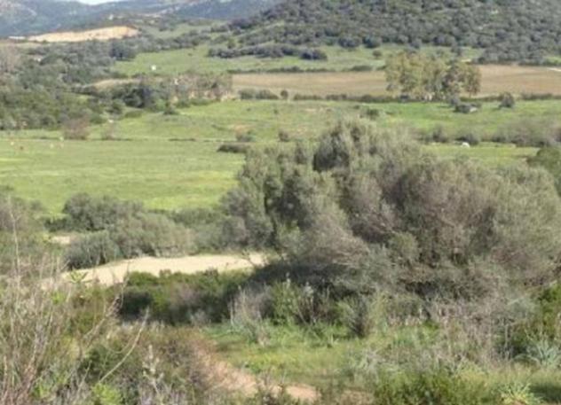 Immobile in asta di 258216 m² in vendita a Loiri Porto San Paolo - Foto 11